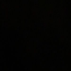 Meet your Posher, Silvia